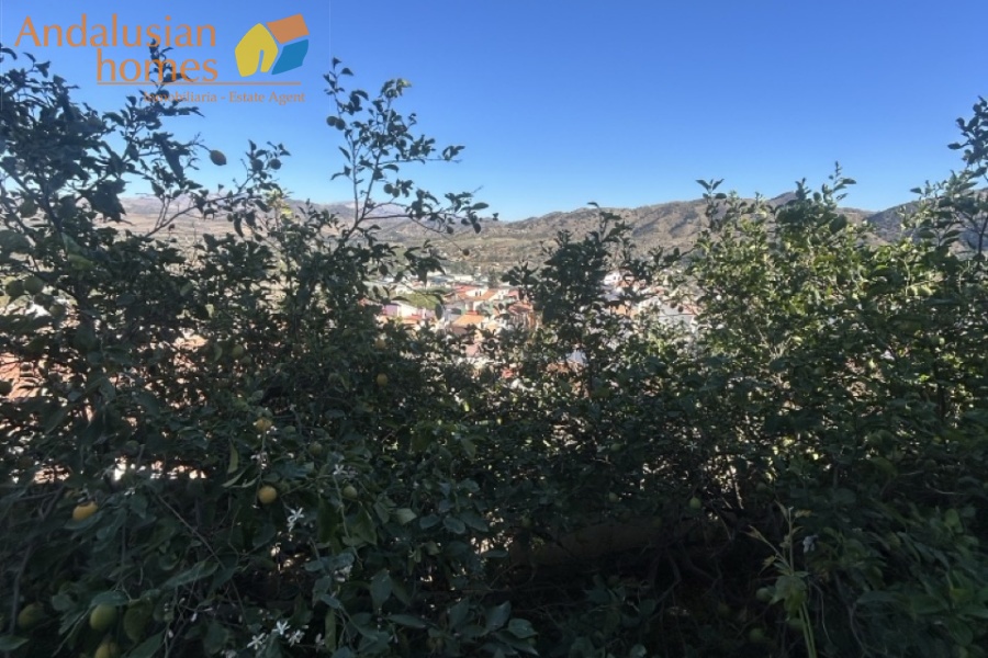 Álora property for sale, village house Álora, Andalusia real estate, house with garden Álora, multi-storey house, character property Andalusia, investment property Álora, renovation project Spain, house with separate apartment potential, traditional Spanish home, property near amenities Álora