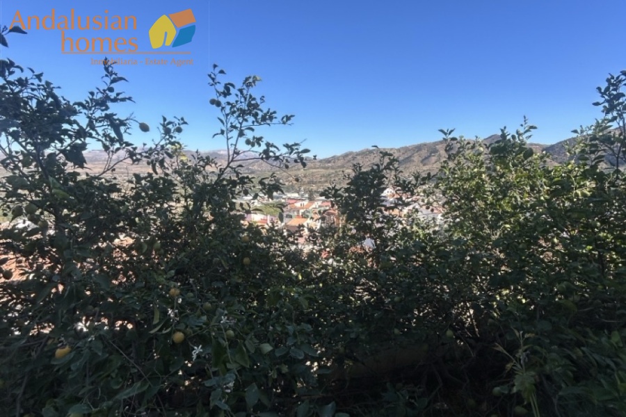 Álora property for sale, village house Álora, Andalusia real estate, house with garden Álora, multi-storey house, character property Andalusia, investment property Álora, renovation project Spain, house with separate apartment potential, traditional Spanish home, property near amenities Álora