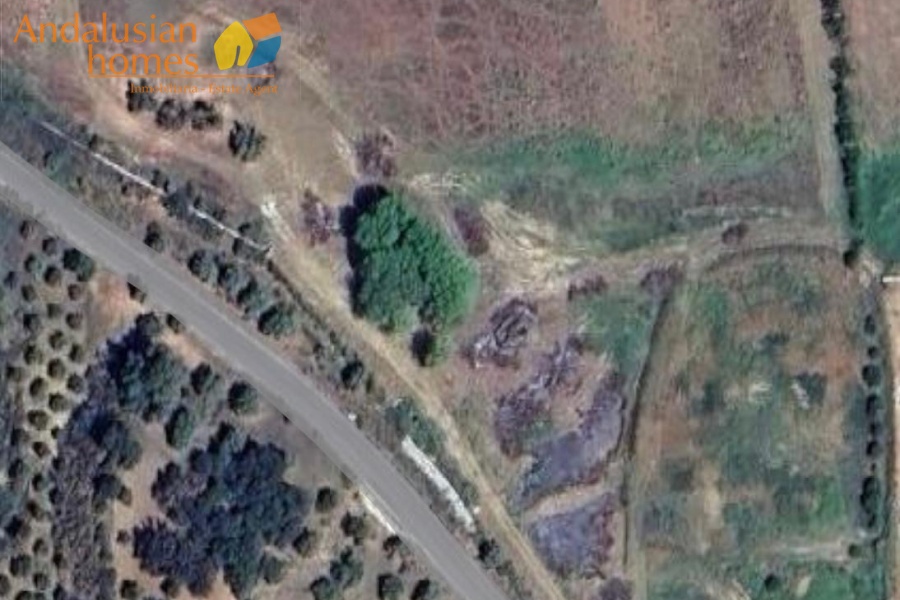 Fincas/Country Houses,For sale,1033