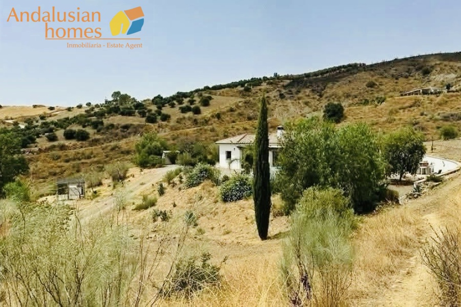country home for sale, rural property, finca for sale, country house with pool, 3 bedroom country home, property with land, large plot 34000m2, Spain country property (or your region), countryside retreat, home with terrace, bamboo terrace, property with water deposits, peaceful rural living, country house with fireplace, L-shaped living room, master bedroom ensuite, pool and BBQ area, storage and covered parking
