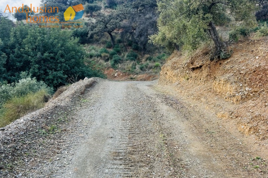 cortijo for sale, Andalucia property, Alora real estate, rural property Spain, farmhouse for sale, country home Andalucia, large plot property Spain, olive farm for sale, almond grove property, cortijo with casita, renovation property Spain, rustic farmhouse Andalucia, secluded property Alora, Andalusian country house, property with land Spain