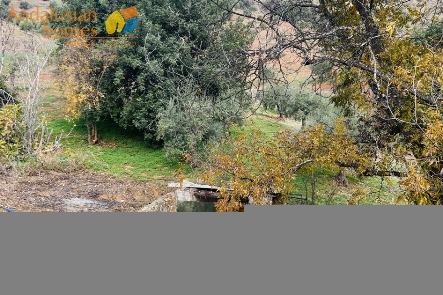 cortijo for sale, Andalucia property, Alora real estate, rural property Spain, farmhouse for sale, country home Andalucia, large plot property Spain, olive farm for sale, almond grove property, cortijo with casita, renovation property Spain, rustic farmhouse Andalucia, secluded property Alora, Andalusian country house, property with land Spain