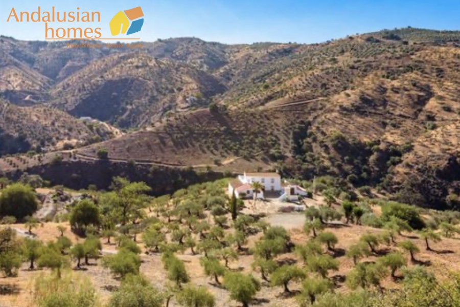 cortijo for sale, Andalucia property, Alora real estate, rural property Spain, farmhouse for sale, country home Andalucia, large plot property Spain, olive farm for sale, almond grove property, cortijo with casita, renovation property Spain, rustic farmhouse Andalucia, secluded property Alora, Andalusian country house, property with land Spain
