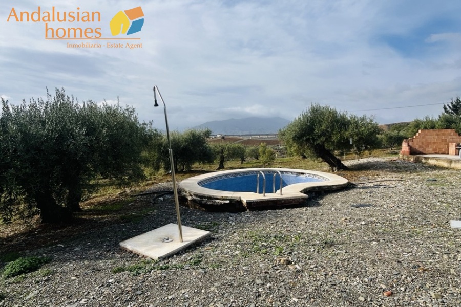 finca for sale Álora, finca Álora Málaga, country property Álora, rural property Málaga, finca with pool Álora, olive grove property Spain, countryside villa Málaga, finca with views Álora, SAFO property Málaga, legal finca Spain, finca with well water, Andalusian finca for sale, rural home near Álora, finca with land Málaga, investment property Álora
