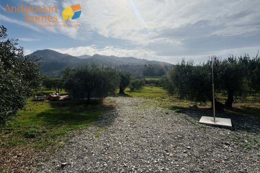 finca for sale Álora, finca Álora Málaga, country property Álora, rural property Málaga, finca with pool Álora, olive grove property Spain, countryside villa Málaga, finca with views Álora, SAFO property Málaga, legal finca Spain, finca with well water, Andalusian finca for sale, rural home near Álora, finca with land Málaga, investment property Álora
