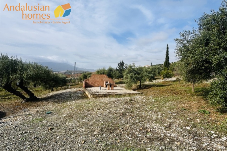 finca for sale Álora, finca Álora Málaga, country property Álora, rural property Málaga, finca with pool Álora, olive grove property Spain, countryside villa Málaga, finca with views Álora, SAFO property Málaga, legal finca Spain, finca with well water, Andalusian finca for sale, rural home near Álora, finca with land Málaga, investment property Álora

