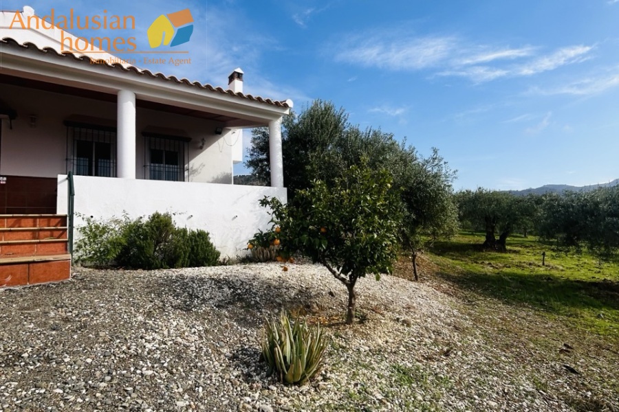 finca for sale Álora, finca Álora Málaga, country property Álora, rural property Málaga, finca with pool Álora, olive grove property Spain, countryside villa Málaga, finca with views Álora, SAFO property Málaga, legal finca Spain, finca with well water, Andalusian finca for sale, rural home near Álora, finca with land Málaga, investment property Álora
