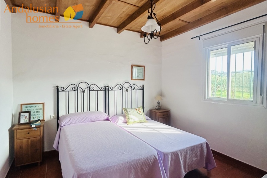 finca for sale Álora, finca Álora Málaga, country property Álora, rural property Málaga, finca with pool Álora, olive grove property Spain, countryside villa Málaga, finca with views Álora, SAFO property Málaga, legal finca Spain, finca with well water, Andalusian finca for sale, rural home near Álora, finca with land Málaga, investment property Álora
