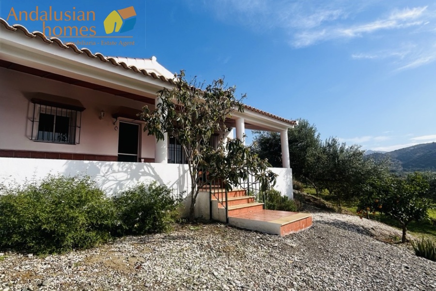 finca for sale Álora, finca Álora Málaga, country property Álora, rural property Málaga, finca with pool Álora, olive grove property Spain, countryside villa Málaga, finca with views Álora, SAFO property Málaga, legal finca Spain, finca with well water, Andalusian finca for sale, rural home near Álora, finca with land Málaga, investment property Álora
