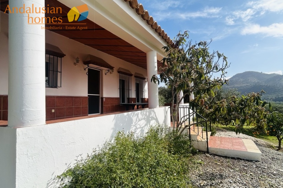 finca for sale Álora, finca Álora Málaga, country property Álora, rural property Málaga, finca with pool Álora, olive grove property Spain, countryside villa Málaga, finca with views Álora, SAFO property Málaga, legal finca Spain, finca with well water, Andalusian finca for sale, rural home near Álora, finca with land Málaga, investment property Álora

