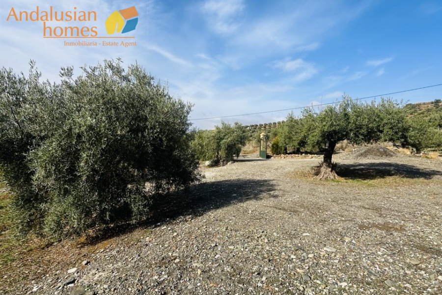 finca for sale Álora, finca Álora Málaga, country property Álora, rural property Málaga, finca with pool Álora, olive grove property Spain, countryside villa Málaga, finca with views Álora, SAFO property Málaga, legal finca Spain, finca with well water, Andalusian finca for sale, rural home near Álora, finca with land Málaga, investment property Álora
