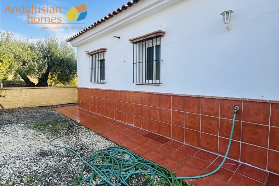 finca for sale Álora, finca Álora Málaga, country property Álora, rural property Málaga, finca with pool Álora, olive grove property Spain, countryside villa Málaga, finca with views Álora, SAFO property Málaga, legal finca Spain, finca with well water, Andalusian finca for sale, rural home near Álora, finca with land Málaga, investment property Álora

