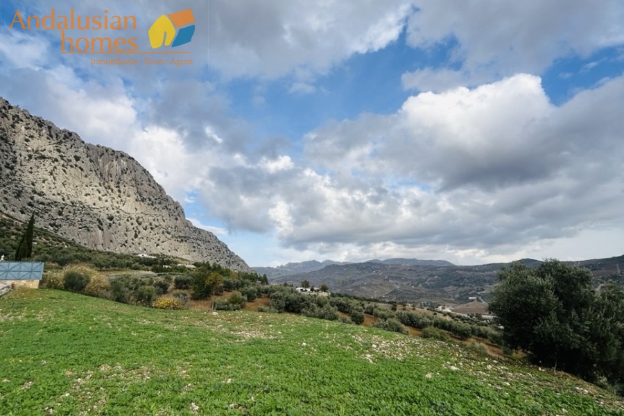 country house Los Angosturas, rural property Andalusia, house with mountain views, property with olive trees, country house near El Chorro, rural home Valle de Abdalajís, house with land Spain, countryside property with pool, private rural property, Andalusian country house