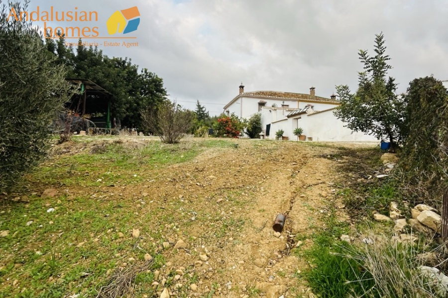 cortijo Valle de Abdalajís, traditional cortijo Andalusia, country property with olive trees, rural house for sale Spain, cortijo with land Málaga, country home near Álora, Andalusian farmhouse for sale, rural property with outbuildings