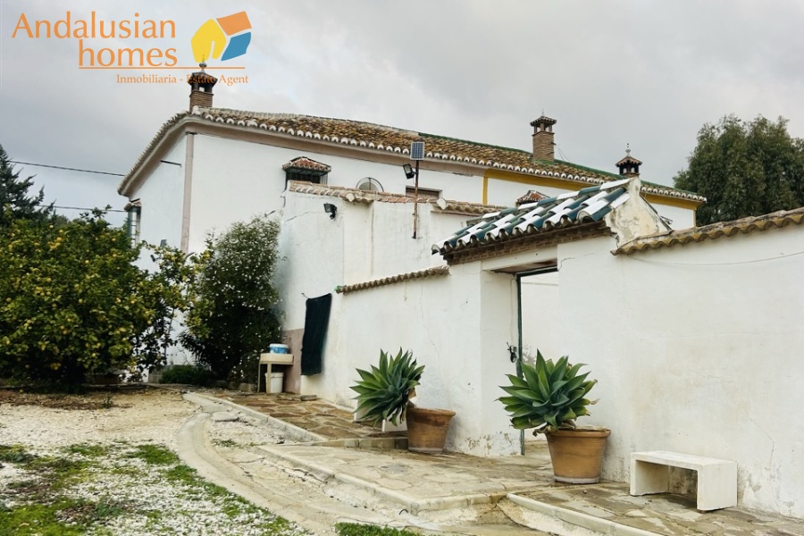 cortijo Valle de Abdalajís, traditional cortijo Andalusia, country property with olive trees, rural house for sale Spain, cortijo with land Málaga, country home near Álora, Andalusian farmhouse for sale, rural property with outbuildings