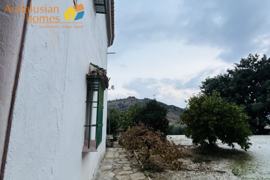 cortijo Valle de Abdalajís, traditional cortijo Andalusia, country property with olive trees, rural house for sale Spain, cortijo with land Málaga, country home near Álora, Andalusian farmhouse for sale, rural property with outbuildings