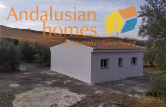 new build country house for sale, rural property for sale, olive grove property, fenced land for sale, 2023 new build house, countryside home, large plot property, open plan house for sale, private well property, rural retreat for sale, agricultural land with house, olive trees land, country home investment, house with land for sale, off-grid style property