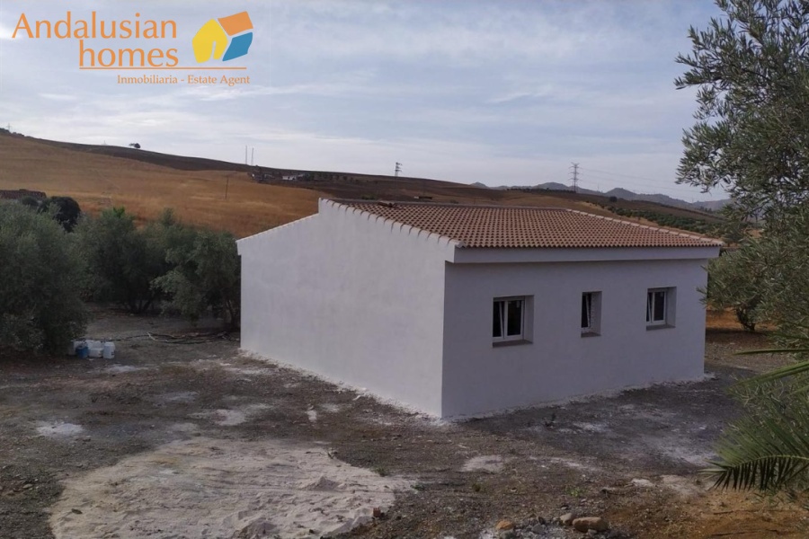 new build country house for sale, rural property for sale, olive grove property, fenced land for sale, 2023 new build house, countryside home, large plot property, open plan house for sale, private well property, rural retreat for sale, agricultural land with house, olive trees land, country home investment, house with land for sale, off-grid style property