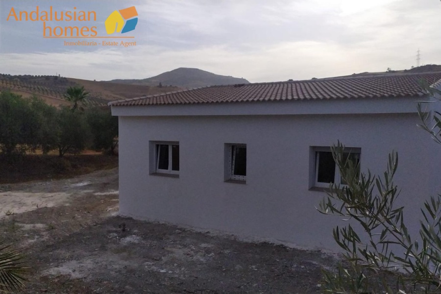 new build country house for sale, rural property for sale, olive grove property, fenced land for sale, 2023 new build house, countryside home, large plot property, open plan house for sale, private well property, rural retreat for sale, agricultural land with house, olive trees land, country home investment, house with land for sale, off-grid style property