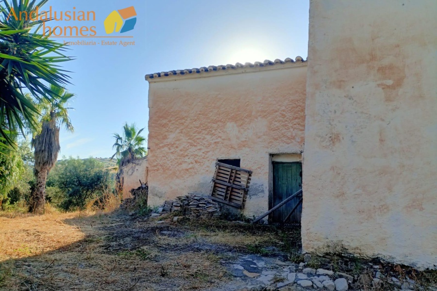 large cortijo for sale, cortijo for reform, traditional cortijo spain, rural renovation project, olive grove property, country house for sale, andalusian cortijo, investment property spain, rural tourism project, house with land for sale, agricultural land with cortijo, large rural property, cortijo renovation opportunity, countryside estate for sale