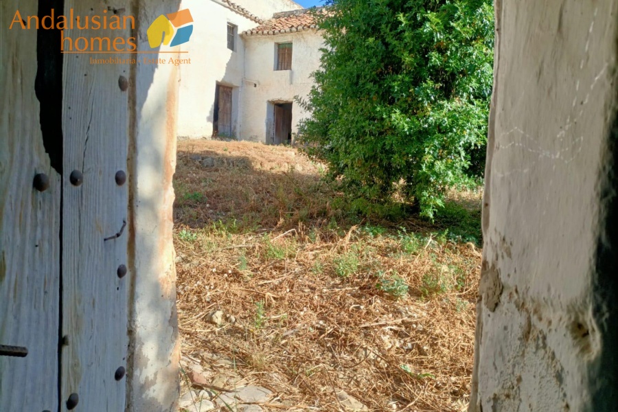 large cortijo for sale, cortijo for reform, traditional cortijo spain, rural renovation project, olive grove property, country house for sale, andalusian cortijo, investment property spain, rural tourism project, house with land for sale, agricultural land with cortijo, large rural property, cortijo renovation opportunity, countryside estate for sale
