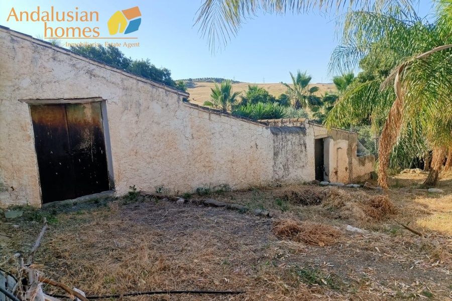large cortijo for sale, cortijo for reform, traditional cortijo spain, rural renovation project, olive grove property, country house for sale, andalusian cortijo, investment property spain, rural tourism project, house with land for sale, agricultural land with cortijo, large rural property, cortijo renovation opportunity, countryside estate for sale