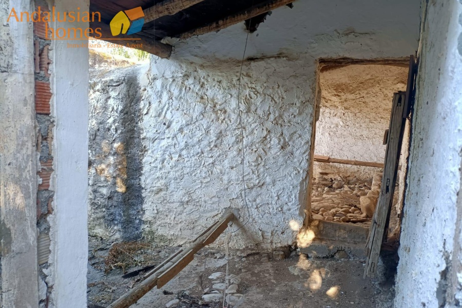 large cortijo for sale, cortijo for reform, traditional cortijo spain, rural renovation project, olive grove property, country house for sale, andalusian cortijo, investment property spain, rural tourism project, house with land for sale, agricultural land with cortijo, large rural property, cortijo renovation opportunity, countryside estate for sale