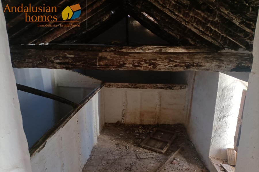 large cortijo for sale, cortijo for reform, traditional cortijo spain, rural renovation project, olive grove property, country house for sale, andalusian cortijo, investment property spain, rural tourism project, house with land for sale, agricultural land with cortijo, large rural property, cortijo renovation opportunity, countryside estate for sale