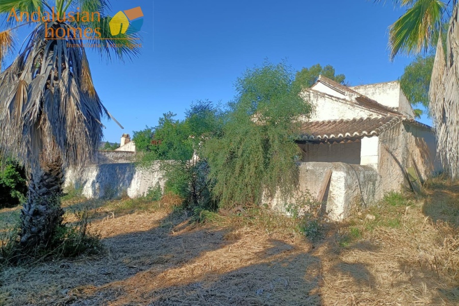 large cortijo for sale, cortijo for reform, traditional cortijo spain, rural renovation project, olive grove property, country house for sale, andalusian cortijo, investment property spain, rural tourism project, house with land for sale, agricultural land with cortijo, large rural property, cortijo renovation opportunity, countryside estate for sale