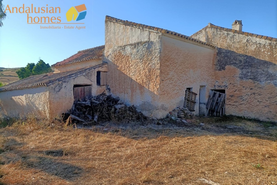 large cortijo for sale, cortijo for reform, traditional cortijo spain, rural renovation project, olive grove property, country house for sale, andalusian cortijo, investment property spain, rural tourism project, house with land for sale, agricultural land with cortijo, large rural property, cortijo renovation opportunity, countryside estate for sale