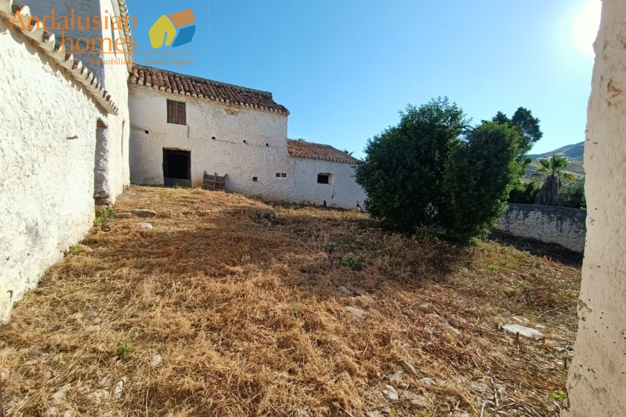large cortijo for sale, cortijo for reform, traditional cortijo spain, rural renovation project, olive grove property, country house for sale, andalusian cortijo, investment property spain, rural tourism project, house with land for sale, agricultural land with cortijo, large rural property, cortijo renovation opportunity, countryside estate for sale