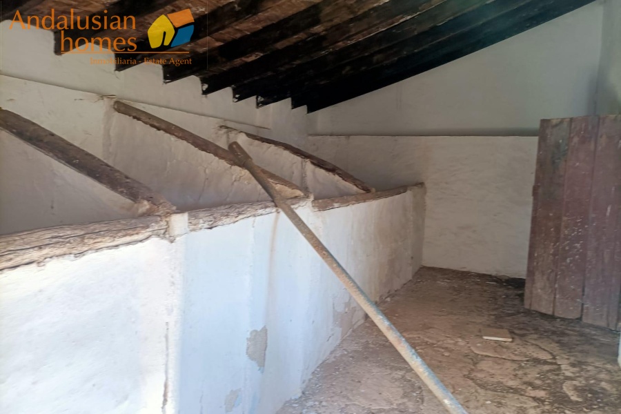 large cortijo for sale, cortijo for reform, traditional cortijo spain, rural renovation project, olive grove property, country house for sale, andalusian cortijo, investment property spain, rural tourism project, house with land for sale, agricultural land with cortijo, large rural property, cortijo renovation opportunity, countryside estate for sale