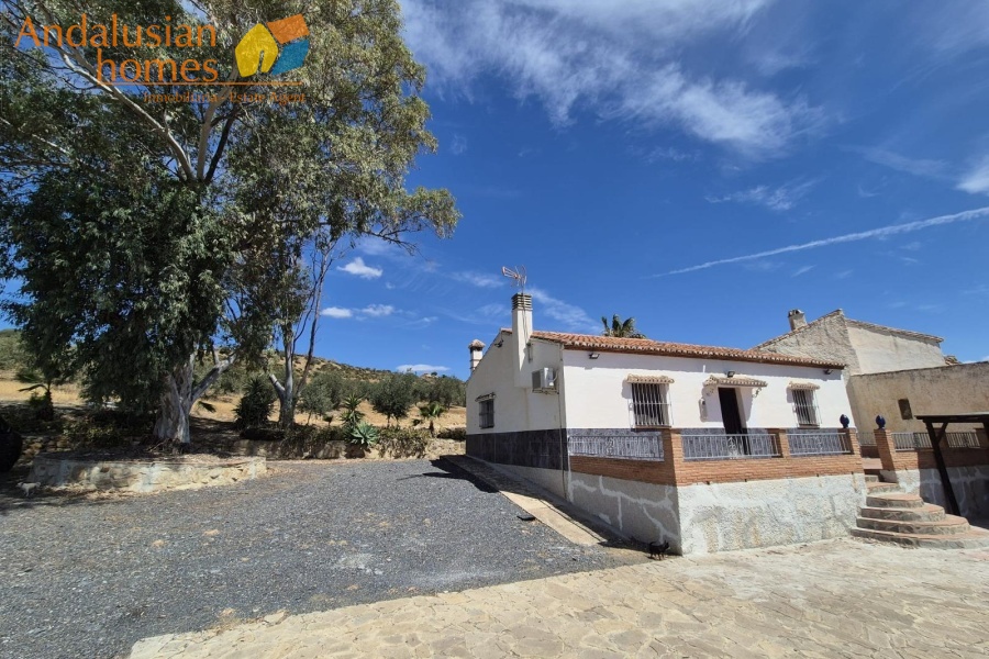 country house for sale, detached country house, olive grove property, olive farm for sale, rural property, countryside home, house with pool, property with land, Spain country house, finca for sale, rural retreat, investment property, agricultural land with house, community well water, peaceful rural location, easy access property, property near amenities