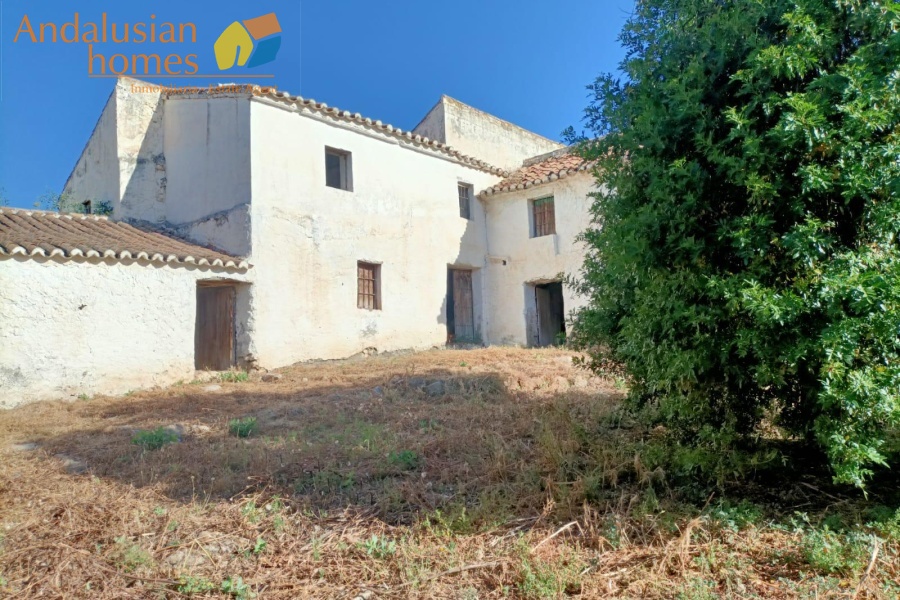 two properties for sale, country house with cortijo, cortijo for sale, olive grove property, finca for sale, rural investment property, renovation project Spain, rural tourism opportunity, house with pool, olive farm for sale, property near Álora, Álora train station property, countryside estate, large cortijo to reform, rental potential property, agricultural land with house, rural development opportunity