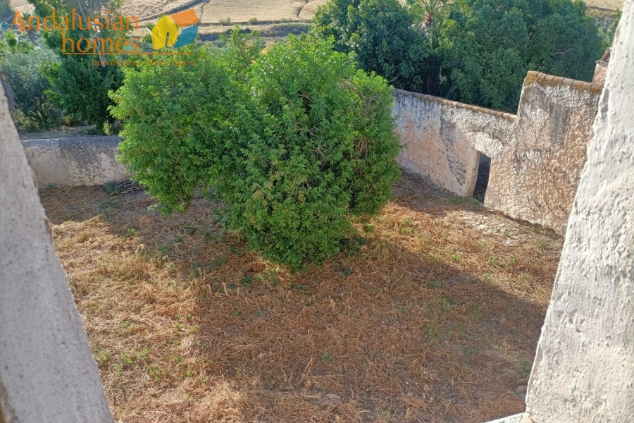 two properties for sale, country house with cortijo, cortijo for sale, olive grove property, finca for sale, rural investment property, renovation project Spain, rural tourism opportunity, house with pool, olive farm for sale, property near Álora, Álora train station property, countryside estate, large cortijo to reform, rental potential property, agricultural land with house, rural development opportunity
