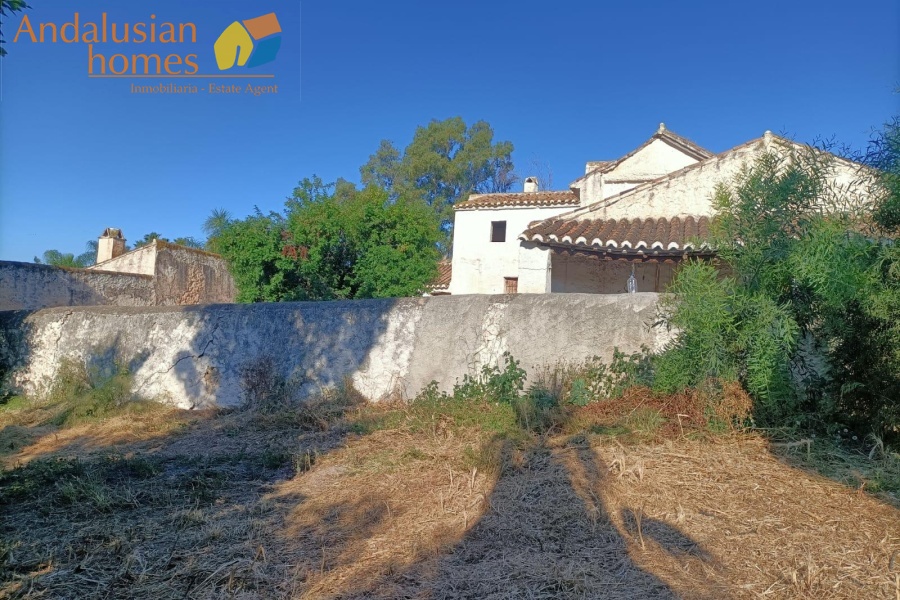 two properties for sale, country house with cortijo, cortijo for sale, olive grove property, finca for sale, rural investment property, renovation project Spain, rural tourism opportunity, house with pool, olive farm for sale, property near Álora, Álora train station property, countryside estate, large cortijo to reform, rental potential property, agricultural land with house, rural development opportunity