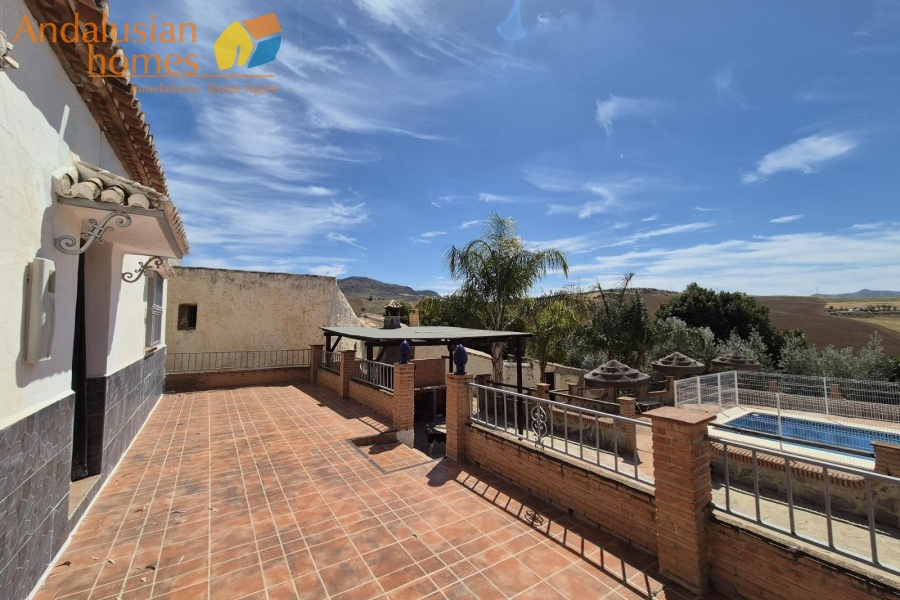 two properties for sale, country house with cortijo, cortijo for sale, olive grove property, finca for sale, rural investment property, renovation project Spain, rural tourism opportunity, house with pool, olive farm for sale, property near Álora, Álora train station property, countryside estate, large cortijo to reform, rental potential property, agricultural land with house, rural development opportunity