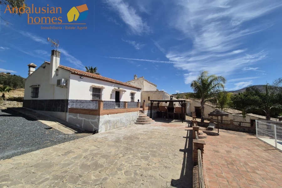 two properties for sale, country house with cortijo, cortijo for sale, olive grove property, finca for sale, rural investment property, renovation project Spain, rural tourism opportunity, house with pool, olive farm for sale, property near Álora, Álora train station property, countryside estate, large cortijo to reform, rental potential property, agricultural land with house, rural development opportunity