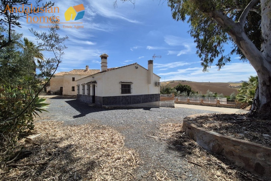 two properties for sale, country house with cortijo, cortijo for sale, olive grove property, finca for sale, rural investment property, renovation project Spain, rural tourism opportunity, house with pool, olive farm for sale, property near Álora, Álora train station property, countryside estate, large cortijo to reform, rental potential property, agricultural land with house, rural development opportunity