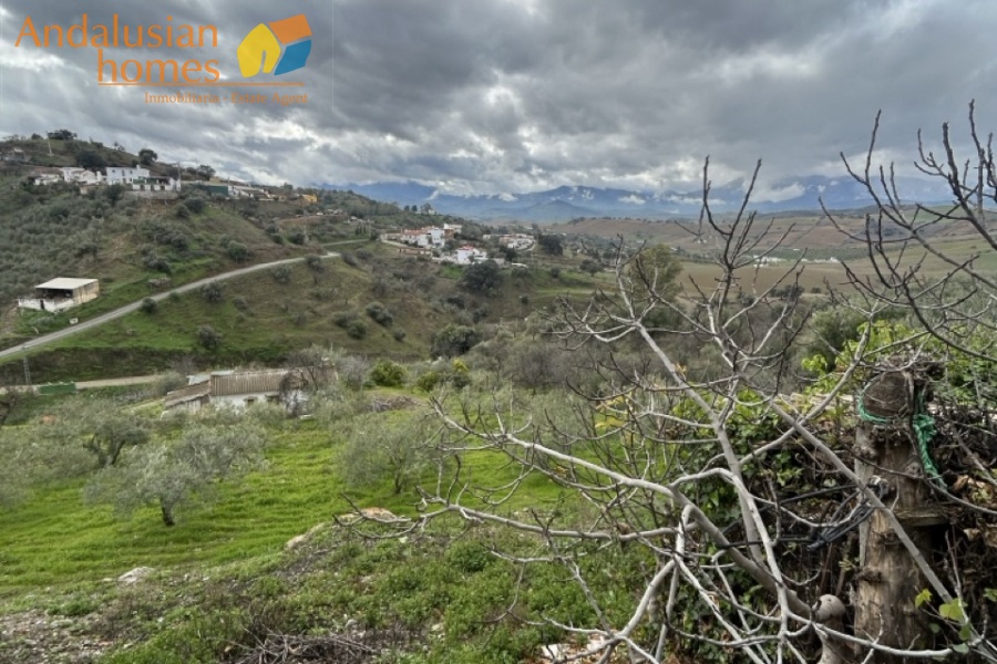 casa de pueblo Gibralgalia, vivienda rural Cártama, casa en venta Málaga interior, propiedad con parcela, casa con piscina, vivienda rural Andalucía, casa con garaje, casa de campo Cártama, inmueble rústico urbano