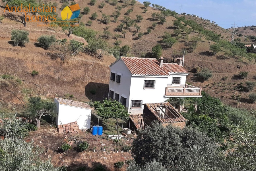 self-sufficient estate, Andalusian property, Torcal mountain views, large finca for sale, organic farm, olive trees, vineyards, fruit trees, country house, rural property Spain, two-story house, private estate, peaceful property, farm with wells

finca autosuficiente, propiedad en Andalucía, vistas sierra del Torcal, finca grande en venta, agricultura ecológica, olivos, viñas, frutales, casa rural, finca rústica España, casa de dos plantas, finca privada, propiedad tranquila, finca con pozos