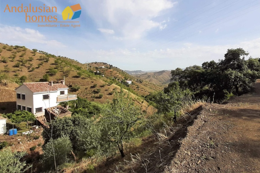 self-sufficient estate, Andalusian property, Torcal mountain views, large finca for sale, organic farm, olive trees, vineyards, fruit trees, country house, rural property Spain, two-story house, private estate, peaceful property, farm with wells

finca autosuficiente, propiedad en Andalucía, vistas sierra del Torcal, finca grande en venta, agricultura ecológica, olivos, viñas, frutales, casa rural, finca rústica España, casa de dos plantas, finca privada, propiedad tranquila, finca con pozos