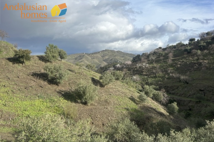 self-sufficient estate, Andalusian property, Torcal mountain views, large finca for sale, organic farm, olive trees, vineyards, fruit trees, country house, rural property Spain, two-story house, private estate, peaceful property, farm with wells

finca autosuficiente, propiedad en Andalucía, vistas sierra del Torcal, finca grande en venta, agricultura ecológica, olivos, viñas, frutales, casa rural, finca rústica España, casa de dos plantas, finca privada, propiedad tranquila, finca con pozos