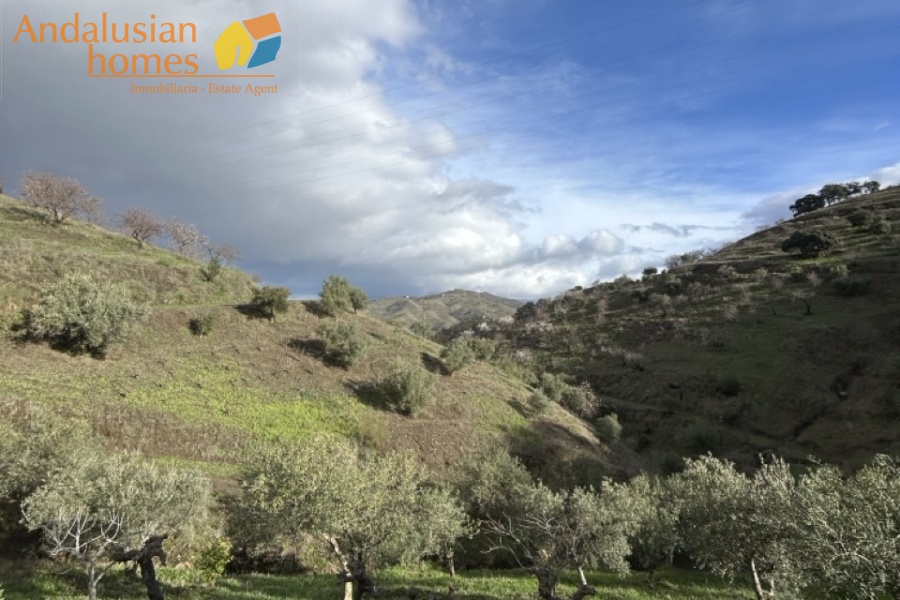 self-sufficient estate, Andalusian property, Torcal mountain views, large finca for sale, organic farm, olive trees, vineyards, fruit trees, country house, rural property Spain, two-story house, private estate, peaceful property, farm with wells

finca autosuficiente, propiedad en Andalucía, vistas sierra del Torcal, finca grande en venta, agricultura ecológica, olivos, viñas, frutales, casa rural, finca rústica España, casa de dos plantas, finca privada, propiedad tranquila, finca con pozos