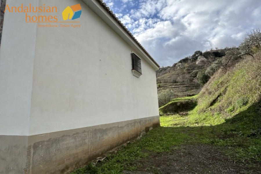 self-sufficient estate, Andalusian property, Torcal mountain views, large finca for sale, organic farm, olive trees, vineyards, fruit trees, country house, rural property Spain, two-story house, private estate, peaceful property, farm with wells

finca autosuficiente, propiedad en Andalucía, vistas sierra del Torcal, finca grande en venta, agricultura ecológica, olivos, viñas, frutales, casa rural, finca rústica España, casa de dos plantas, finca privada, propiedad tranquila, finca con pozos