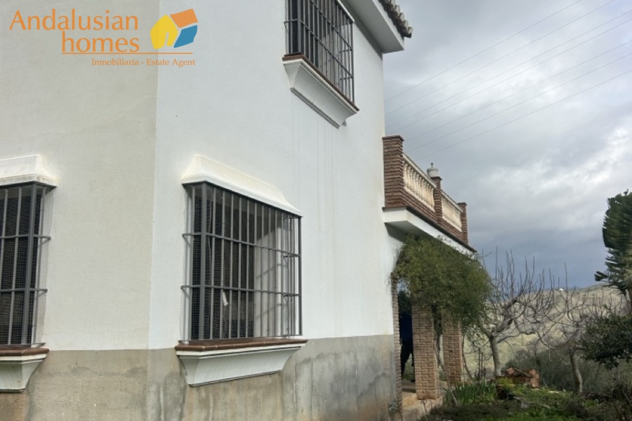 self-sufficient estate, Andalusian property, Torcal mountain views, large finca for sale, organic farm, olive trees, vineyards, fruit trees, country house, rural property Spain, two-story house, private estate, peaceful property, farm with wells

finca autosuficiente, propiedad en Andalucía, vistas sierra del Torcal, finca grande en venta, agricultura ecológica, olivos, viñas, frutales, casa rural, finca rústica España, casa de dos plantas, finca privada, propiedad tranquila, finca con pozos
