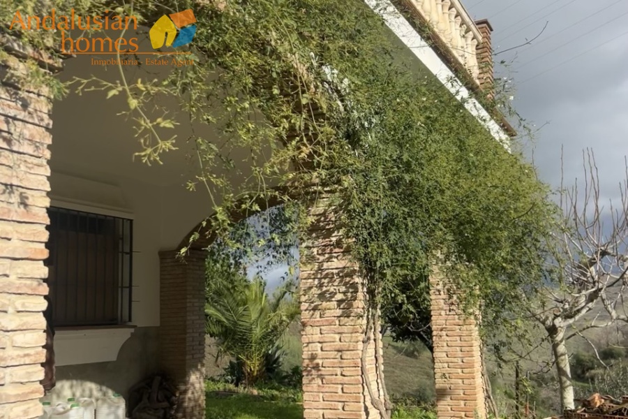 self-sufficient estate, Andalusian property, Torcal mountain views, large finca for sale, organic farm, olive trees, vineyards, fruit trees, country house, rural property Spain, two-story house, private estate, peaceful property, farm with wells

finca autosuficiente, propiedad en Andalucía, vistas sierra del Torcal, finca grande en venta, agricultura ecológica, olivos, viñas, frutales, casa rural, finca rústica España, casa de dos plantas, finca privada, propiedad tranquila, finca con pozos