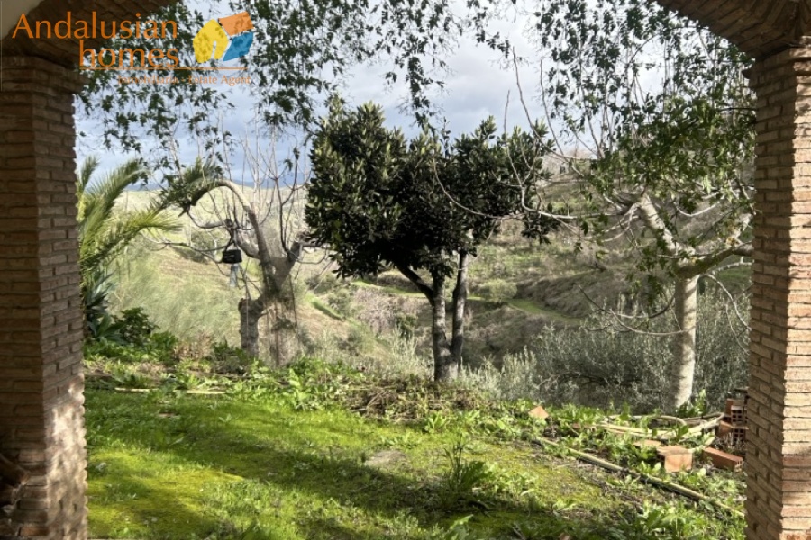 self-sufficient estate, Andalusian property, Torcal mountain views, large finca for sale, organic farm, olive trees, vineyards, fruit trees, country house, rural property Spain, two-story house, private estate, peaceful property, farm with wells

finca autosuficiente, propiedad en Andalucía, vistas sierra del Torcal, finca grande en venta, agricultura ecológica, olivos, viñas, frutales, casa rural, finca rústica España, casa de dos plantas, finca privada, propiedad tranquila, finca con pozos