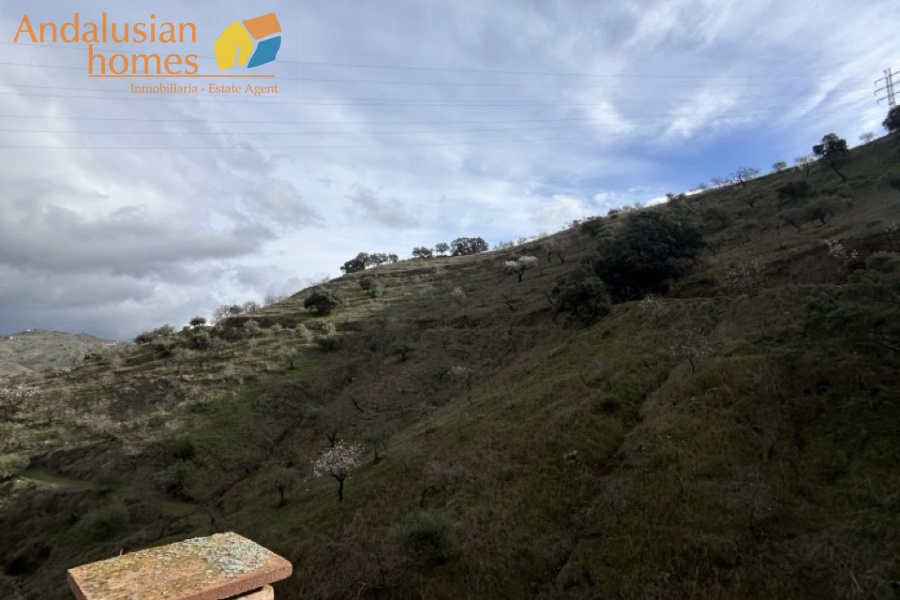 self-sufficient estate, Andalusian property, Torcal mountain views, large finca for sale, organic farm, olive trees, vineyards, fruit trees, country house, rural property Spain, two-story house, private estate, peaceful property, farm with wells

finca autosuficiente, propiedad en Andalucía, vistas sierra del Torcal, finca grande en venta, agricultura ecológica, olivos, viñas, frutales, casa rural, finca rústica España, casa de dos plantas, finca privada, propiedad tranquila, finca con pozos