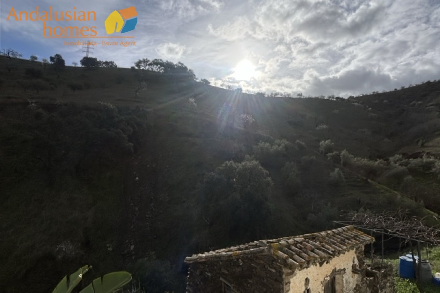 self-sufficient estate, Andalusian property, Torcal mountain views, large finca for sale, organic farm, olive trees, vineyards, fruit trees, country house, rural property Spain, two-story house, private estate, peaceful property, farm with wells

finca autosuficiente, propiedad en Andalucía, vistas sierra del Torcal, finca grande en venta, agricultura ecológica, olivos, viñas, frutales, casa rural, finca rústica España, casa de dos plantas, finca privada, propiedad tranquila, finca con pozos